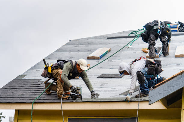 Professional Storm Damage Roof Repair technician working in East Parsonsfield, ME